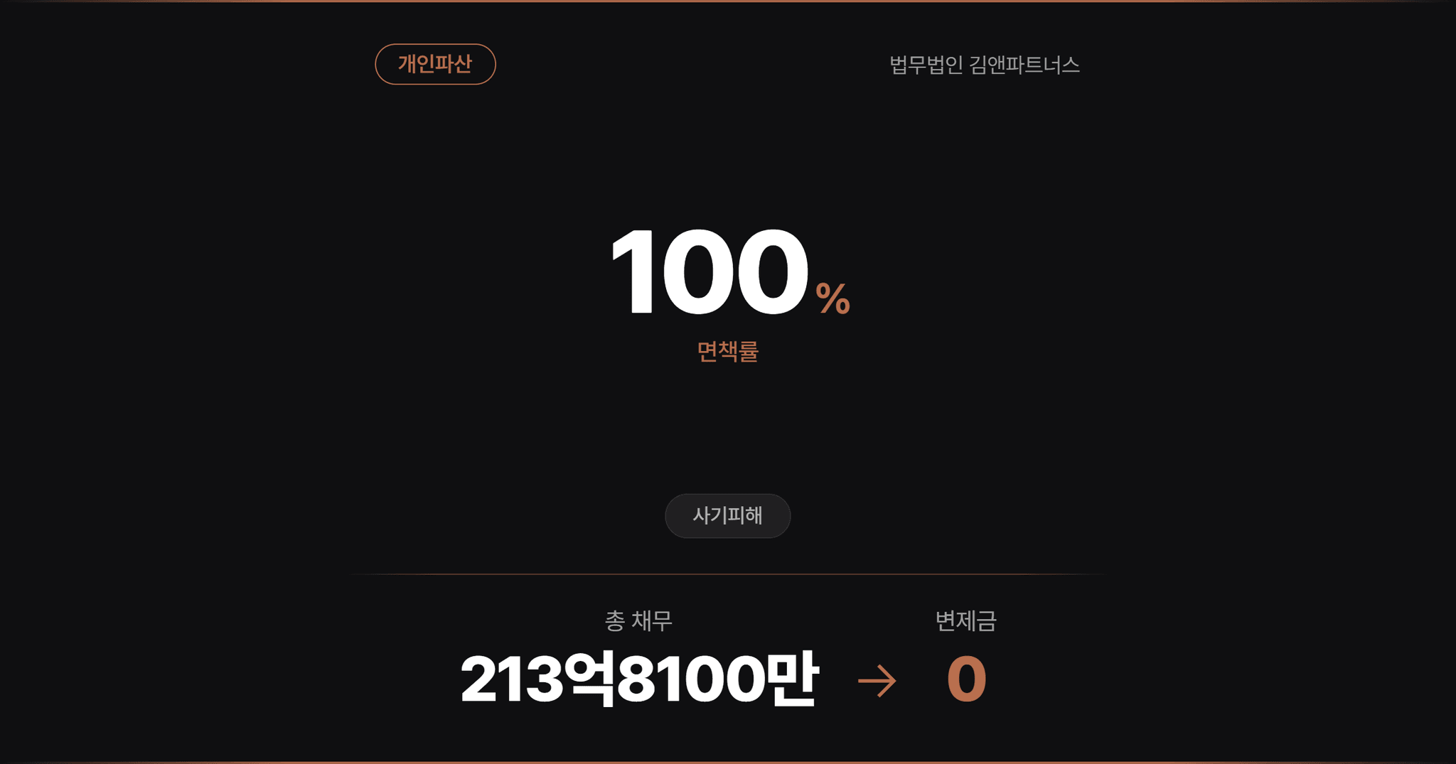[사기피해] 연대보증과 대주주 횡령으로 발생한 채무 61억 면책