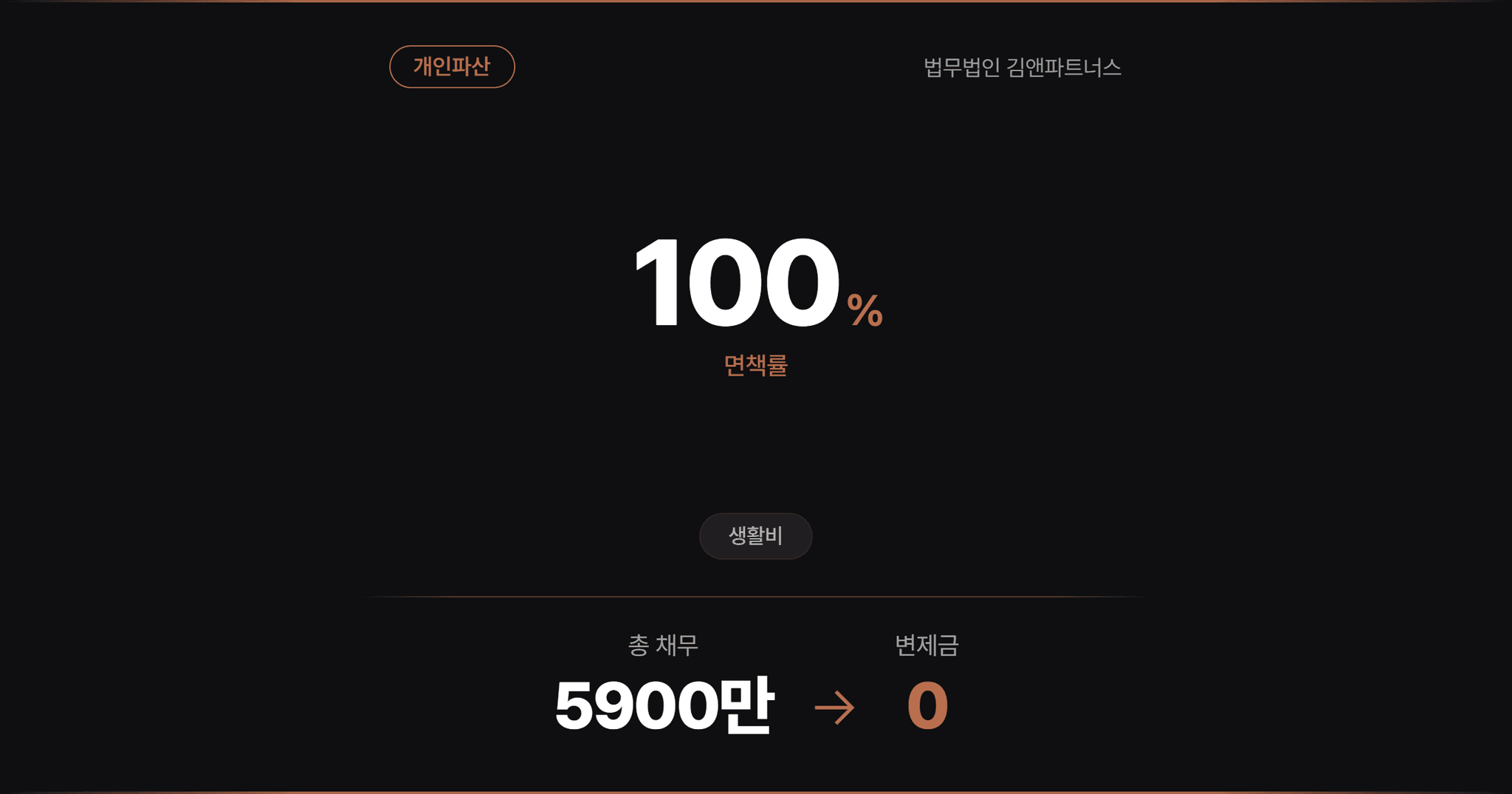 배우자의 개인회생 절차를 활용해 재산 환가 없이 면책받은 개인파산 사례